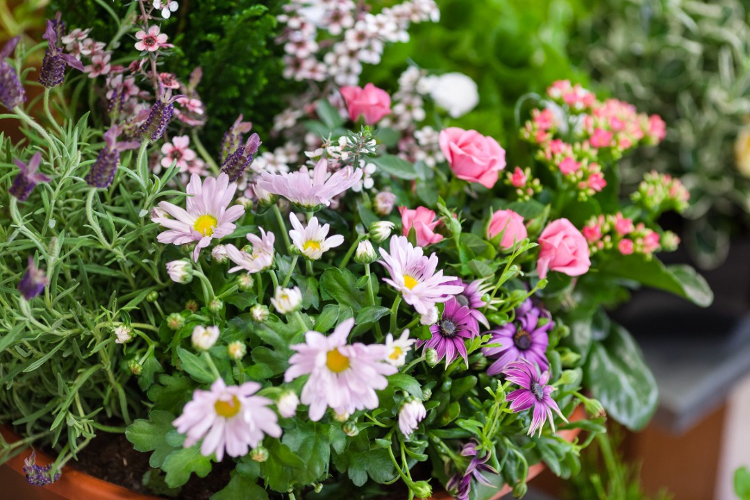 Cercueil avec fleurs